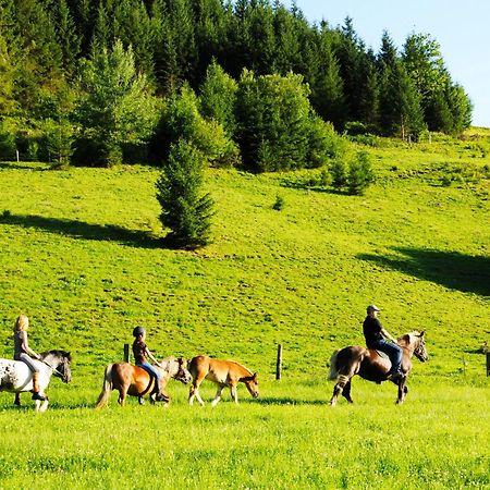 Steinbachgut Villa Flachau Exteriör bild