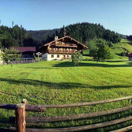 Steinbachgut Villa Flachau Exteriör bild