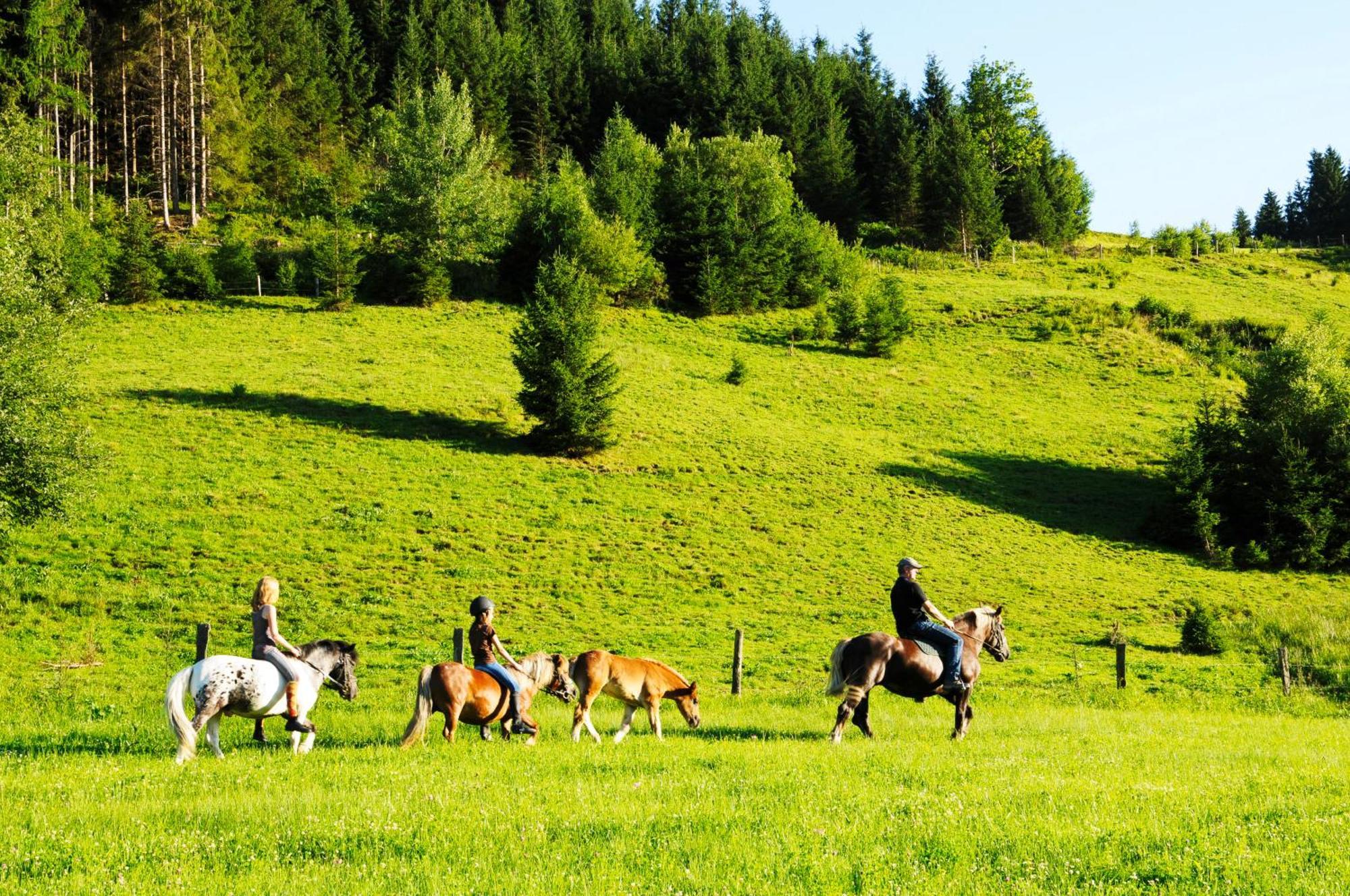Steinbachgut Villa Flachau Exteriör bild