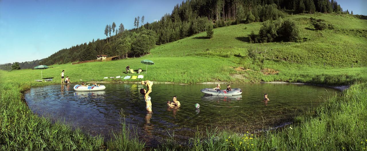 Steinbachgut Villa Flachau Exteriör bild