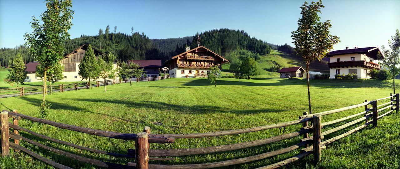 Steinbachgut Villa Flachau Exteriör bild